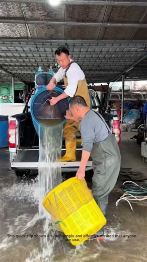 Fish Fry Release: Quick & Safe Transfer!