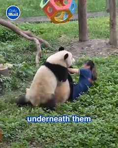 Oh my God! 😱 | Daily Mail Video