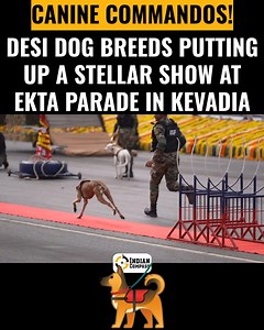 276K views · 15K reactions | Dopamine for the day. ♥ | Indian Compass Videos | Facebook