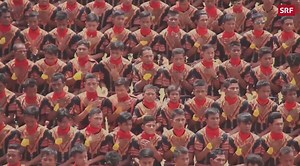 10'000 Männer tanzen in Indonesien gegen die Vernichtung des Regenwalds. ^lvm | SRF News