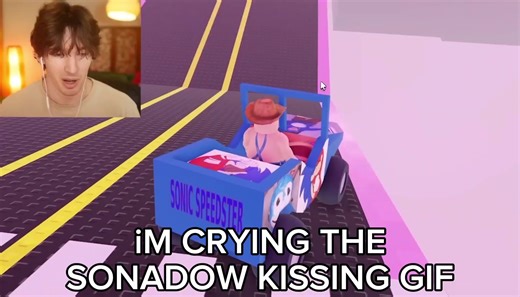 #RANDOM ☆ #FLAMGO || bro this vudeo of his has me giggling everything is happening all at once #sonicthehedgehog #flamingoalbert #sonadow