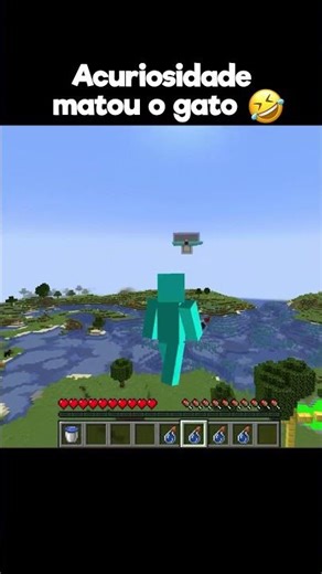 a curiosidade matou o gato
