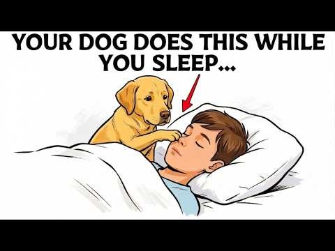 The One Strange Thing Your Dog Does Every Night While You Sleep