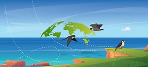 How will climate change affect Arctic birds? - Science Journal for Kids