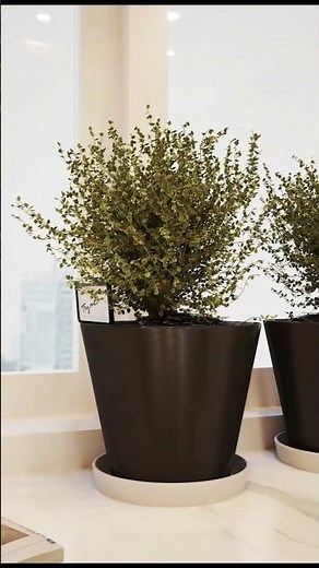 "Mastering 3DS Max: Capture Stunning Window Seat Animation with Chaos Vantage & Adobe After Effects!