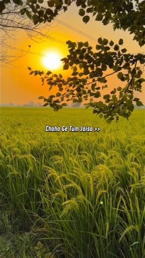 chahoge Tum Jaisa Ho Jaunga Waisa 😘🌹ll #Aesthetic #status #love #lyrics