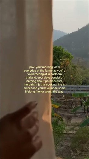 waking up here each day feels like a blessing 🌞🌱🧺 volunteering with Worldpackers has been a life