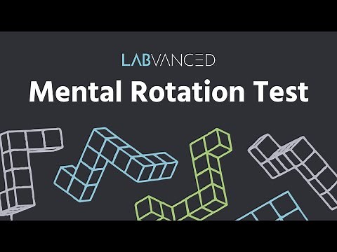 The Mental Rotation Test | MRT