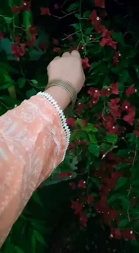 Amber official (@amberofficial06)’s videos with original sound - Amber official