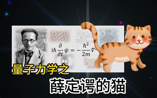 量子力学发展史（三）“薛定谔的猫”及其多种理论解释