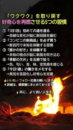 「ワクワク」を取り戻す脳トレ術：好奇心を再燃させる5つの習慣【生存戦略】#生存戦略 #脳トレ #好奇心 #40代 #50代 #大人の学び #習慣