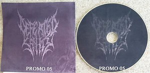 Defeated Sanity - Promo 2005