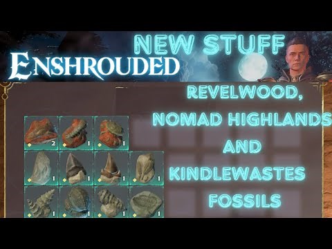Enshrouded | Revelwood fossils, Nomad highlands fossils and Kindlewastes fossils