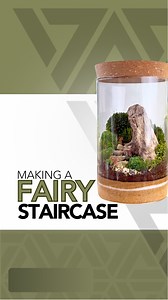 344K views · 15K reactions | Fairy staircase terrarium tutorial 栗  #tutorial #plants #terrarium #moss #howto #diy #portland | Johnathon Q Swanson | Facebook