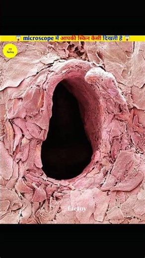 What your body looks like at Microsoft #shorts