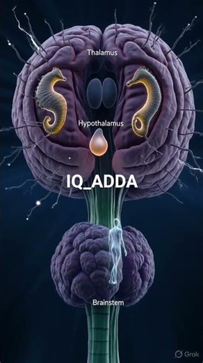 BRAIN (MAGIC BOX OF HUMAN) #3danimation #humanbody #health #iqadda
