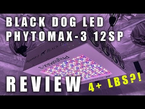 Black Dog LED PhytoMAX-3 12SP Review, PAR Test, Pros/Cons | 4+ LBS PER LIGHT?!