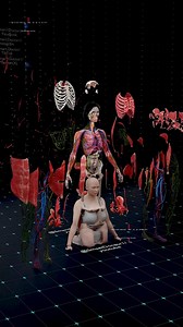 91K views · 1.1K reactions | The Most Detailed Human Dissection Ever...