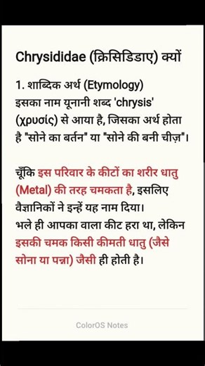 Cuckoo Wasp (कोयल ततैया)