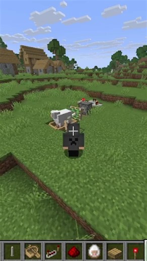 How to Make Minecraft Sheep Fricker🤣🌚