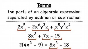 What's a Term? | Virtual Nerd