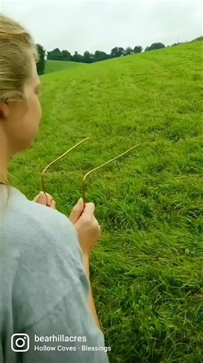 How Water Divining Technique Works #shorts #ytshorts