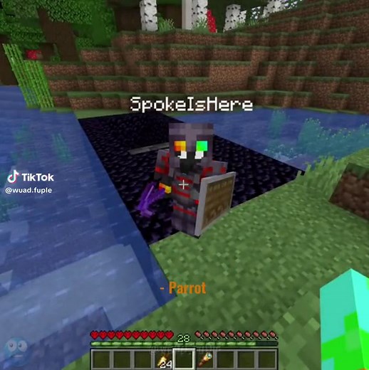 Parrot X2 Chat and Confusion in Minecraft Edit with TSFTLT and Derapchu