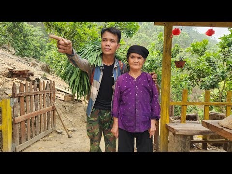 I Found an Elderly Woman Fainting by the Road and Brought Her Home