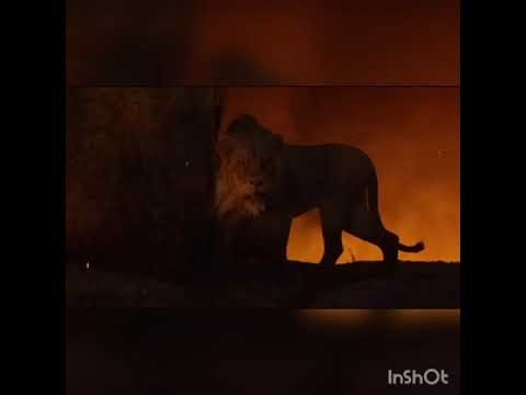 The Lion King 2019 Scar vs Simba [ Canadian French / Français Canadien] ( Audio Only )