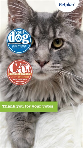We’ve won Best Pet Insurance provider in the Your Dog and Your Cat Product Awards as voted for by their readers. Thank you to all who voted for us. 😍🐶🐱 | Petplan UK
