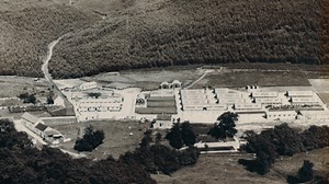 104K views | In 1919 the Forestry Commission was created. Join us to celebrate 100 years of forestry in 2019  Find out about our history and how you can get involved → www.forestryengland.uk/100 #forests100 | Haldon Forest Park - Forestry England | Facebook