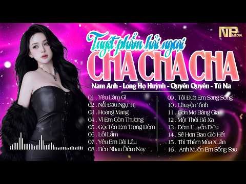 Album Cha Cha Cha Nhạc Trẻ Hải Ngoại Hay Nhất 2026 - Yêu Làm Gì - Cha Cha Live Band Test Loa