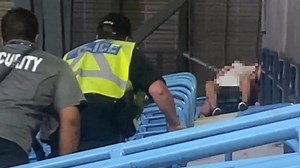 Baseball fans caught engaging in alleged public sex act
