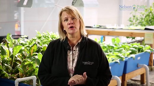 Most Productive and Efficient Home and Commercial Aquaponic Systems