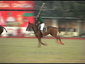 Horse Polo - The sport of kings