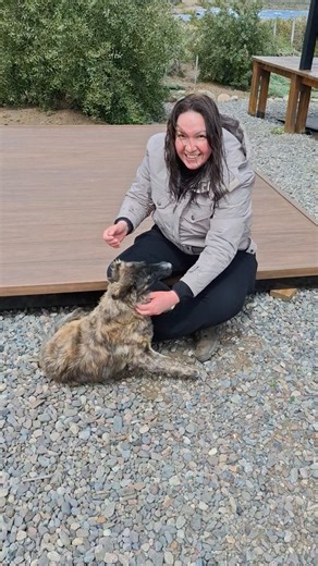 Fazendo a felicidade dos bichos que encontramos pelo caminho. Making the animals we meet along the way happy. | Nick Nardis