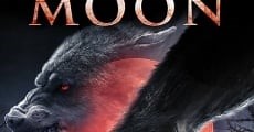 Blood moon / Blood Moon (2014)  - Ver Película Completa en Español - FULLTV
