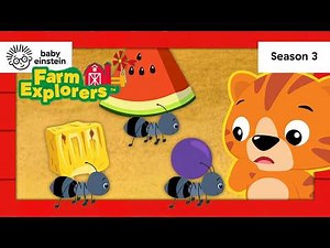 NEW! Let's Explore: Shapes With Ants! | Farm Explorers SEASON 3! | Baby Einstein