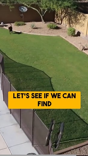 let's see the new house! #pranks #newhouse | Big Prank