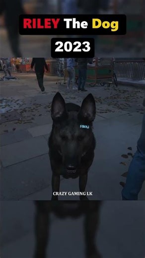 RILEY The Dog Then And Now in COD Ghosts (2013) vs Modern Warfare 3 (2023) #mw2023 #pcgames