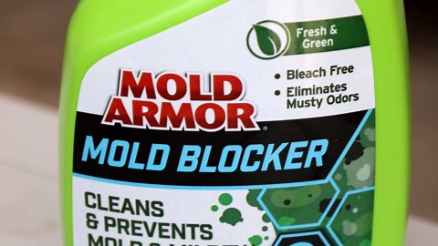 MOLD ARMOR Mold Blocker, 32 OZ