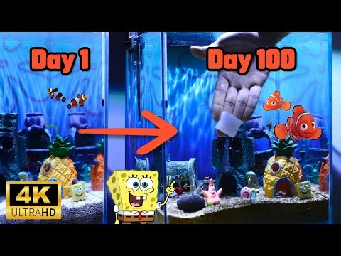 [Sub] SpongeBob's Fish Tank Becomes a Poop Bomb in 100 Days