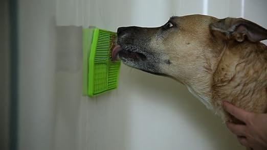 Bathing Your Dog Just Got a Whole Lot Easier!