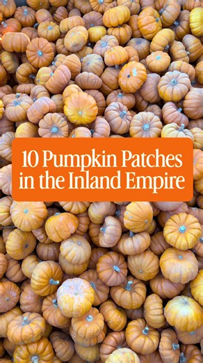 Fall is here, and pumpkin patch season is in full swing! 🎃🍂 Looking for something fun to do this October? Here are 10 pumpkin patches throughout the Inland Empire to check out this fall! SAN BERNARDINO COUNTY 1. The Pumpkin Co. 📍 1 Mills Circle, Ontario, CA 91764 2. Frosty’s Forest Pumpkin Patch 📍 14861 Ramona Ave, Chino, CA 91710 3. I.E. Holiday Events Pumpkin Patch 📍 5060 S Montclair Plaza Ln, Montclair, CA 91763 4. Seasonal Adventures Pumpkin Patch 📍 11400 Foothill Blvd, Rancho Cucamong