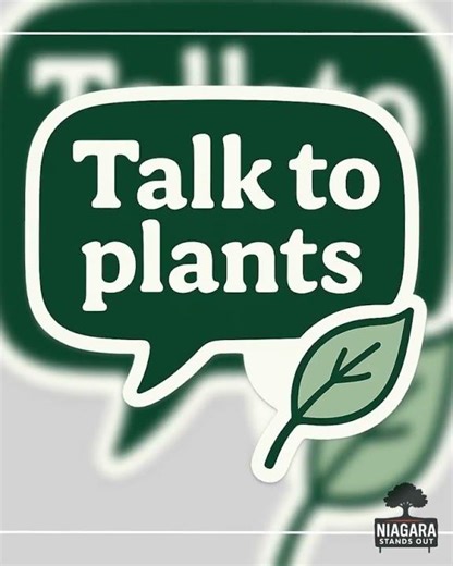 Talk To Plants Sticker Design Plant Lover Sticker