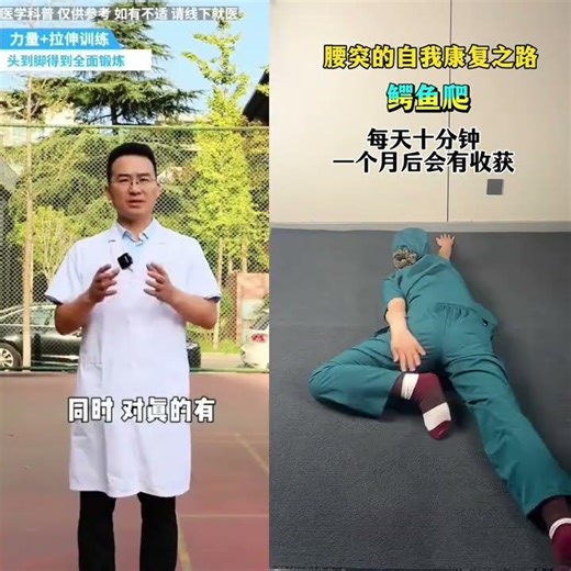 Croc's Epic Journey: Healing from Lumbar Bulge with Exercises