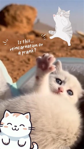 Meet the cutest “species” you’ll ever encounter. | Awesome Animals 365