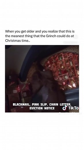 Matty Withrock on TikTok