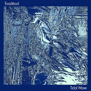 Tidal Wave - Toadstool: Song Lyrics, Music Videos & Concerts