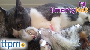 Watch SmartyKat Chitter Critter from Worldwise on Amazon Live